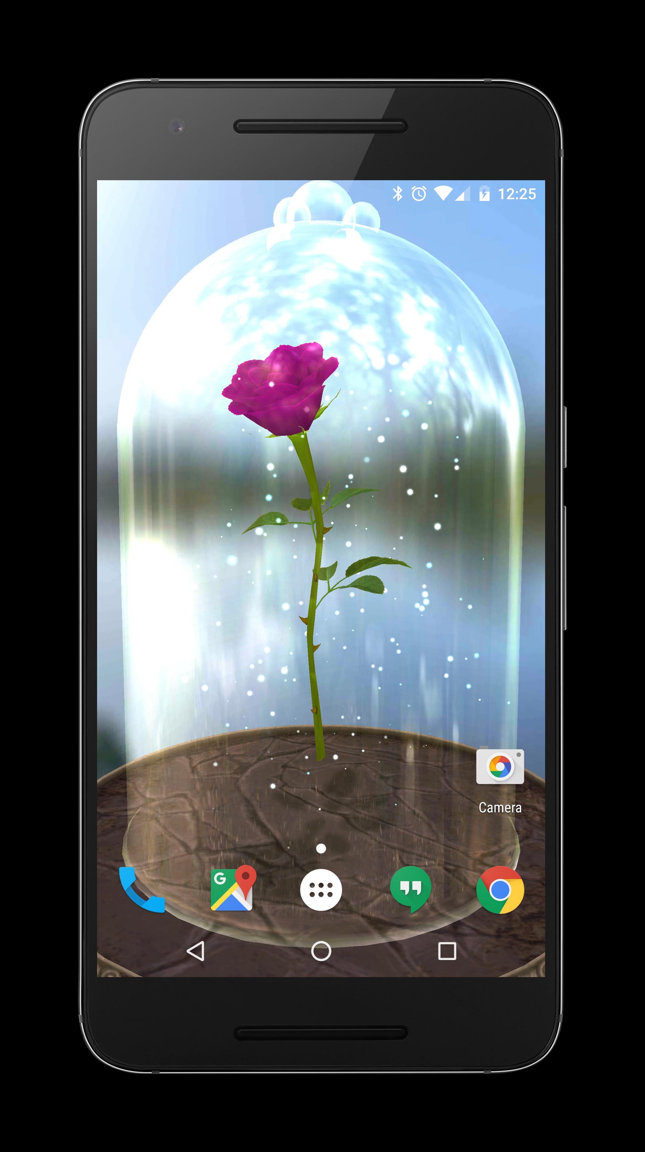 Enchanted Rose