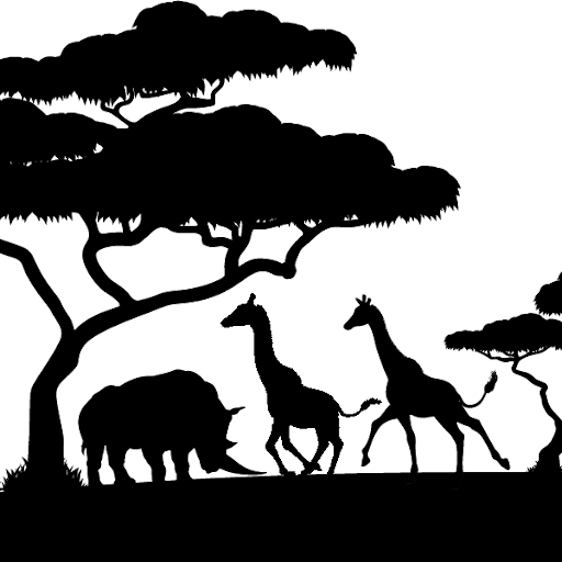Holcim Savanna