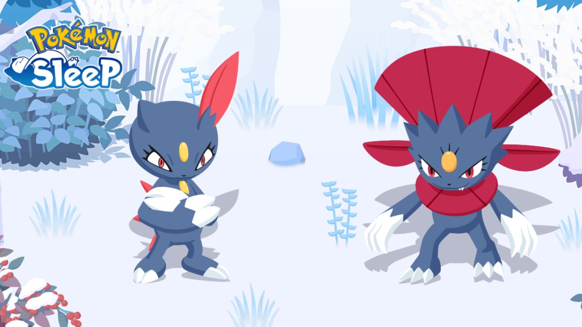 如何在口袋妖怪睡眠中获得sneasel和weavile