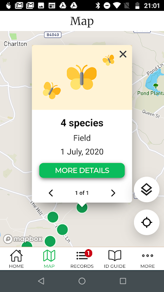 Big Butterfly Count