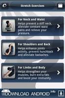 Stretch Exercises