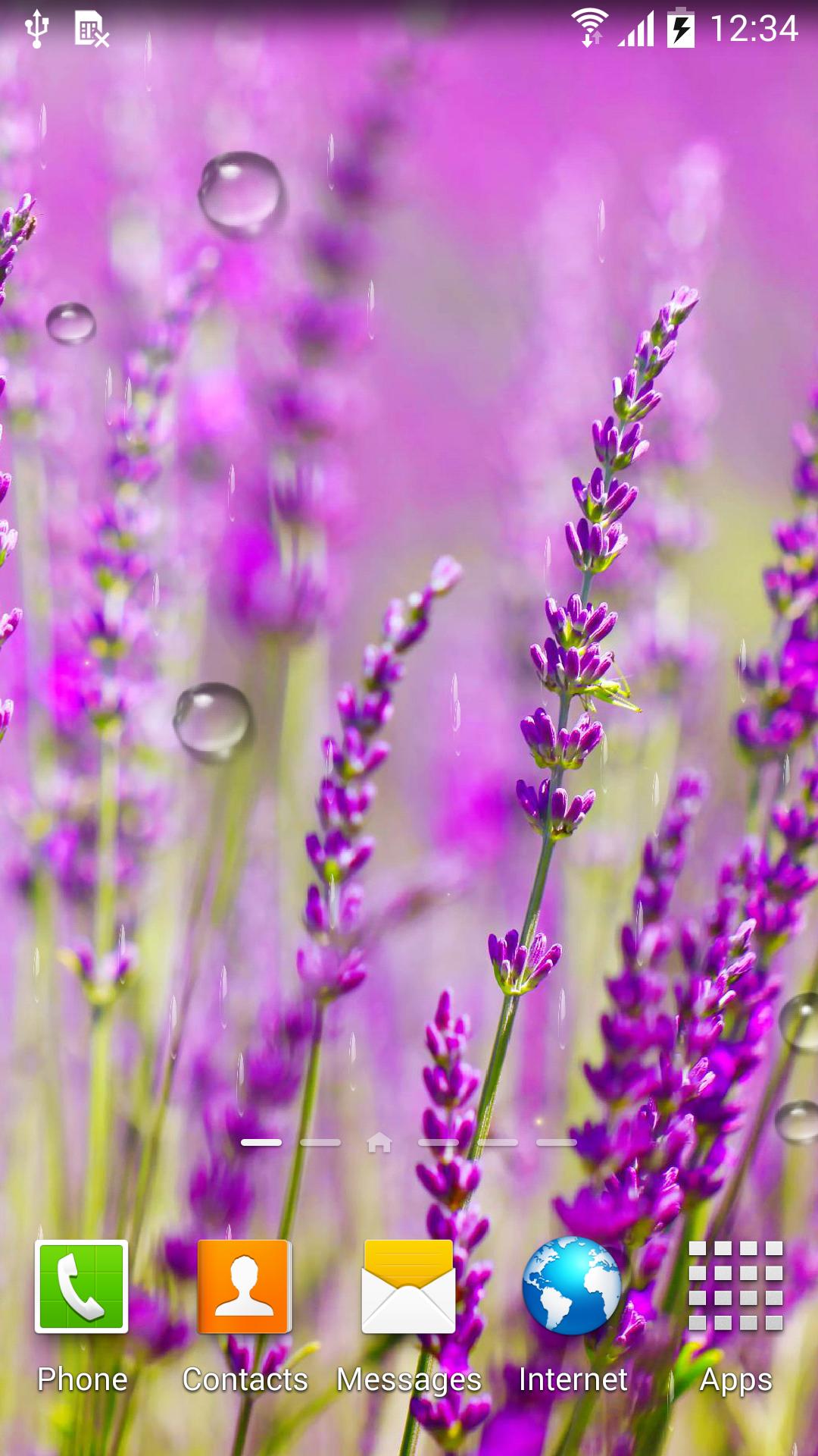 Autumn Flowers Live Wallpaper