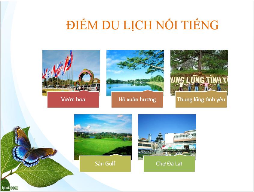 Dalat Travel
