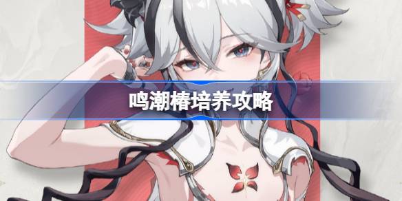 鳴潮椿培養攻略