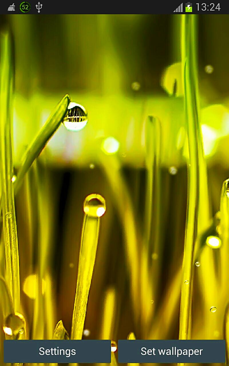 Rain n Grass Wallpaper App