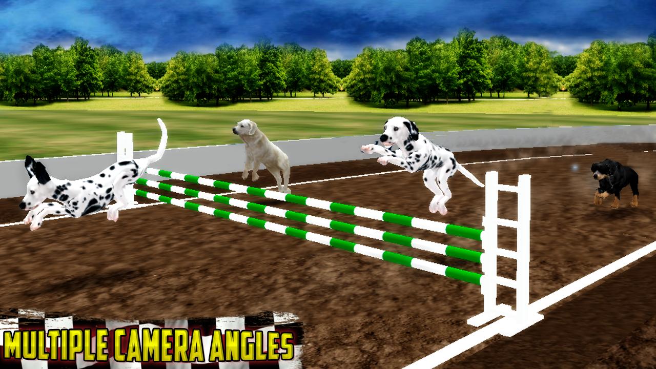 Ultimate Dog Race: greyhound Derby Race