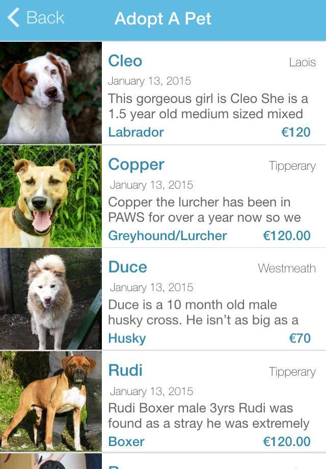 Adopt a Pet
