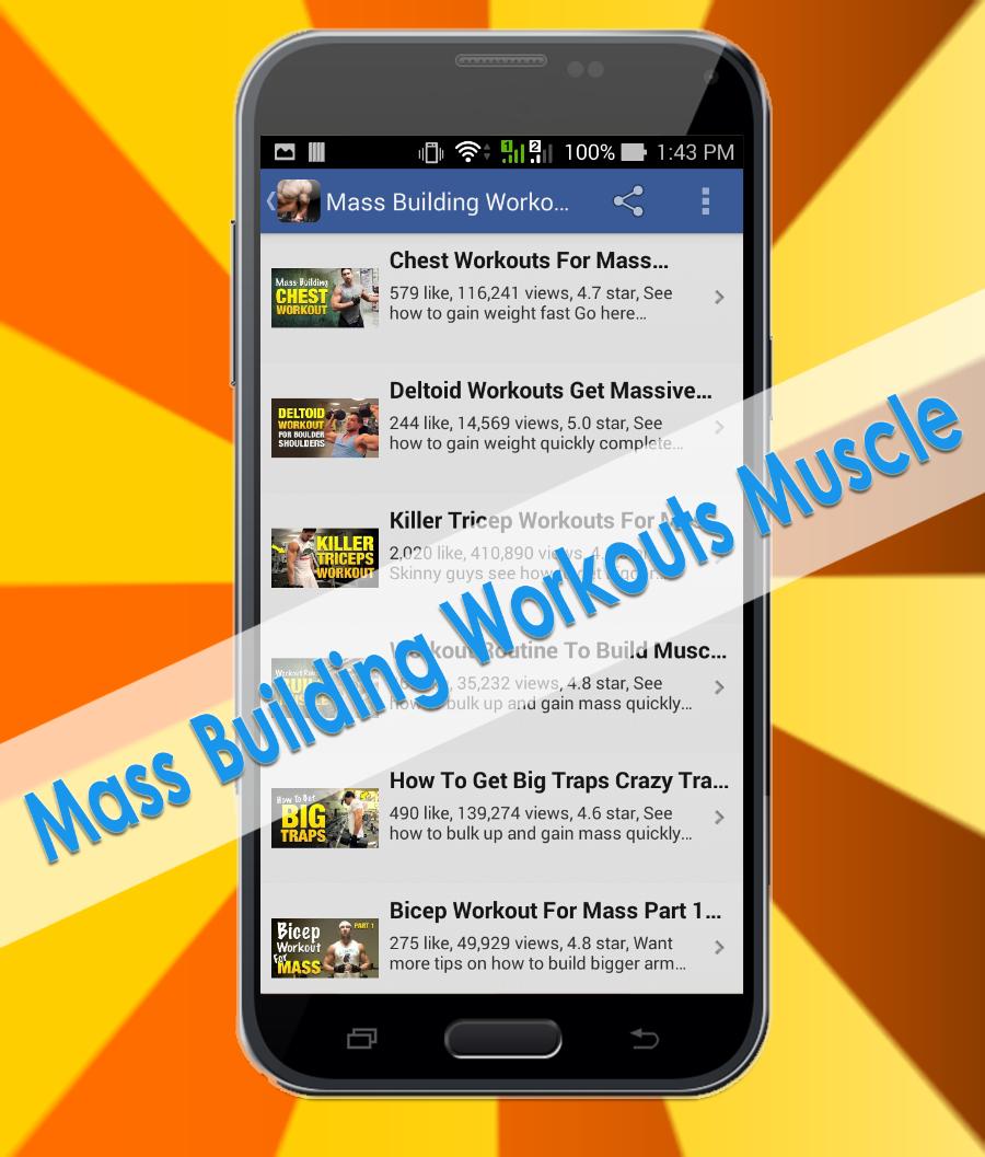 Mass Building Workouts Muscle