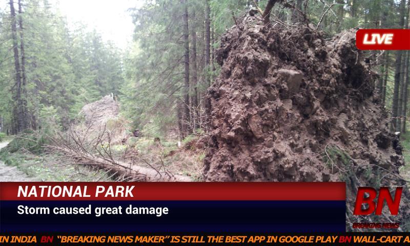 Fake Breaking News Maker