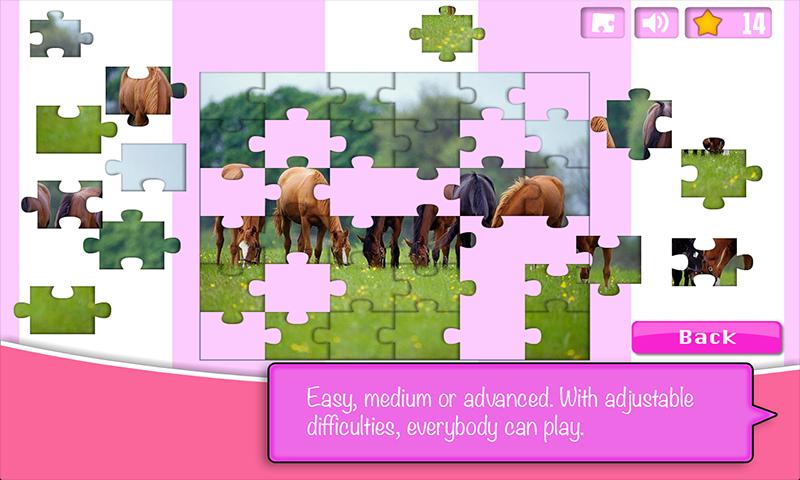 Horse Jigsaw Puzzle