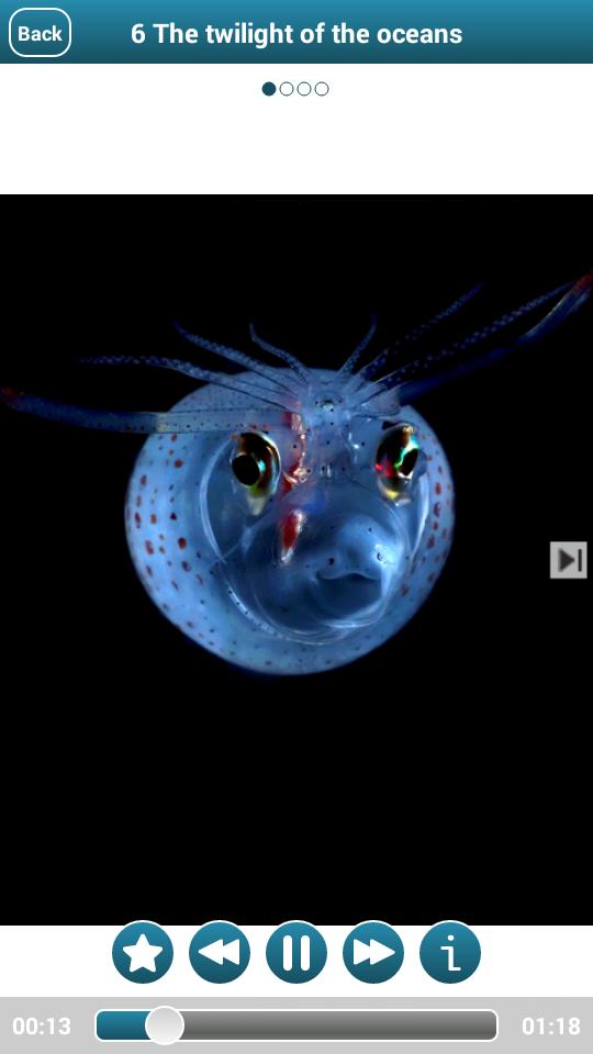 The Deep, ArtScience Museum