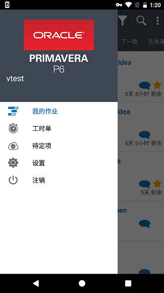 Oracle Primavera P6 Mobile