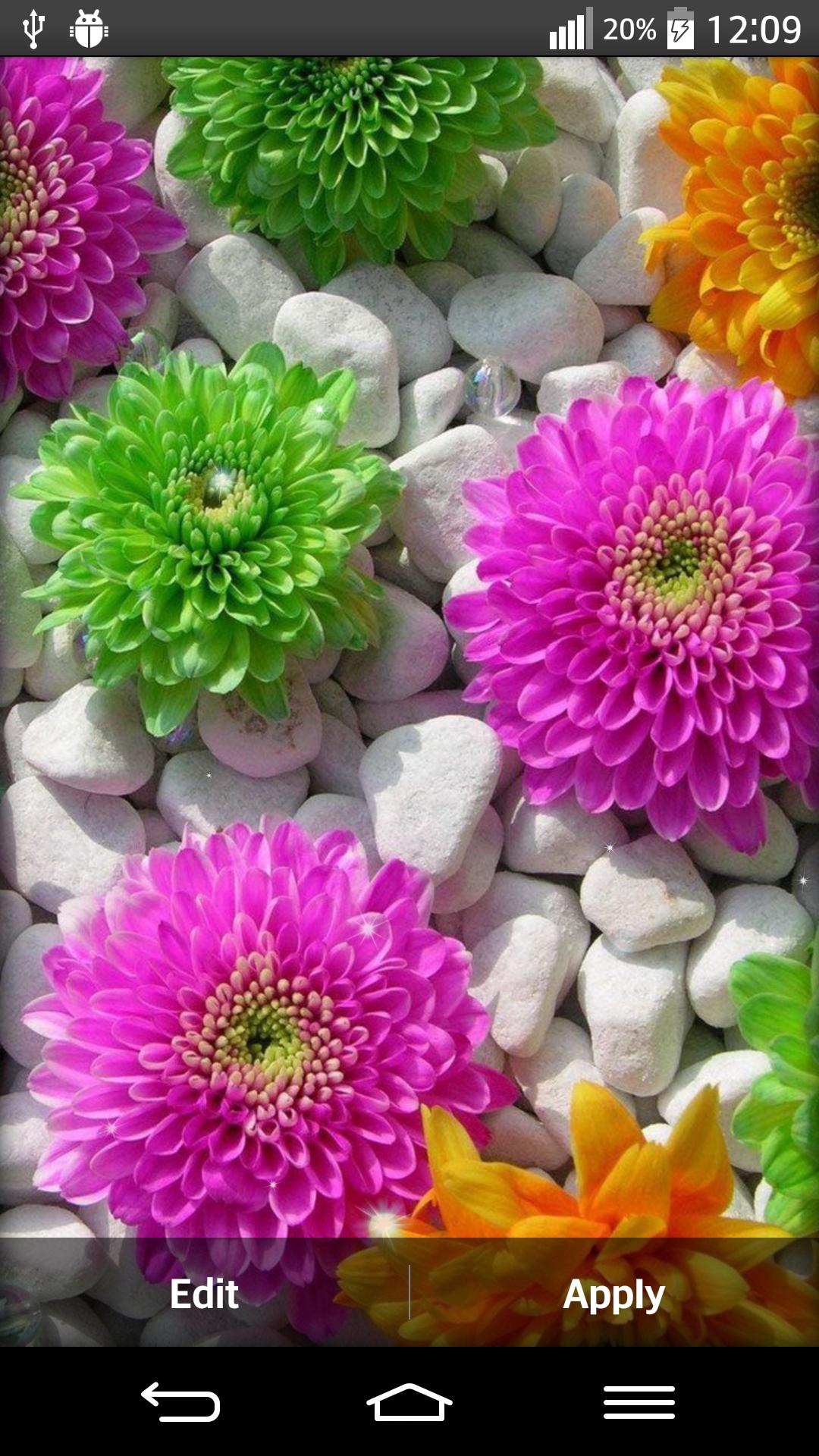 Natural Flowers Live Wallpaper
