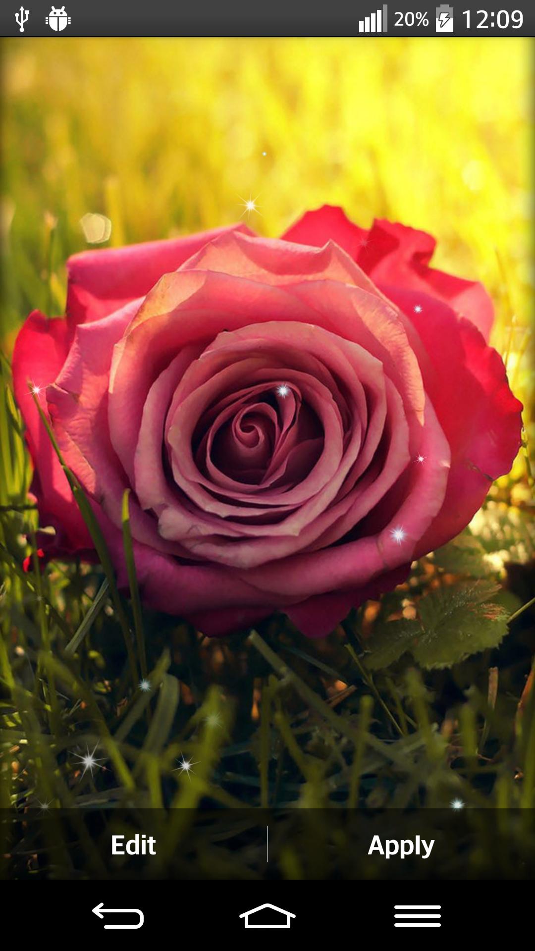 Natural Flowers Live Wallpaper