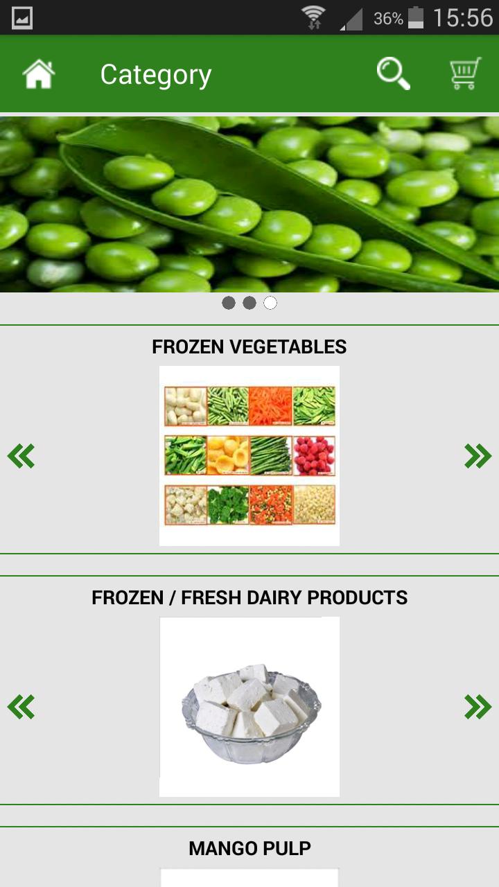 FROZEN FRUIT,VEGETABLE & DAIRY
