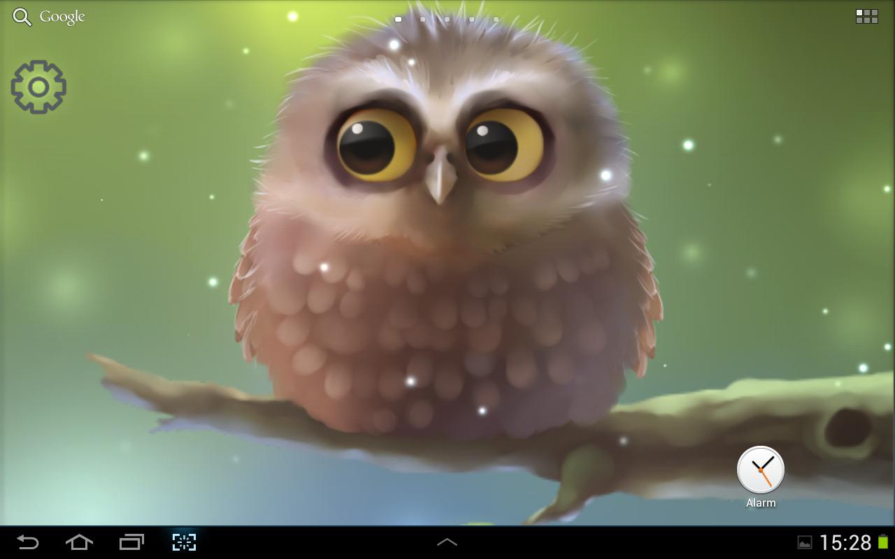Little Owl Lite