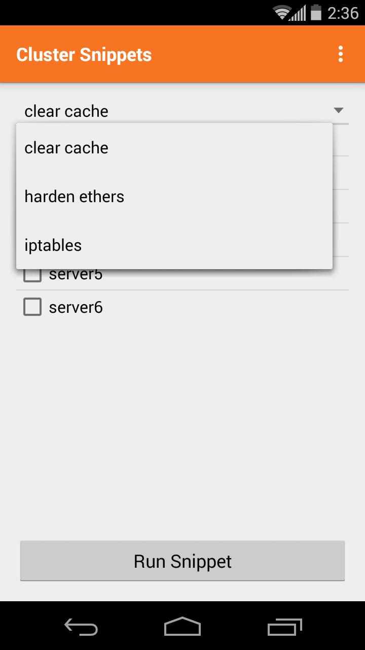 Cluster Snippet Plugin