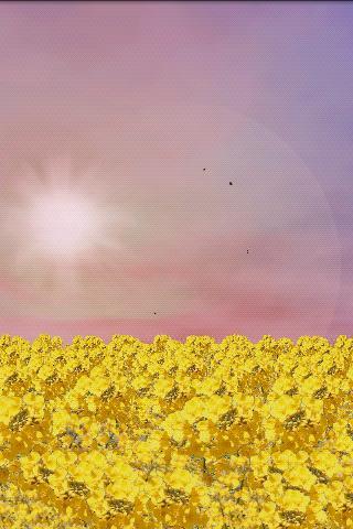 Yellow Field Free