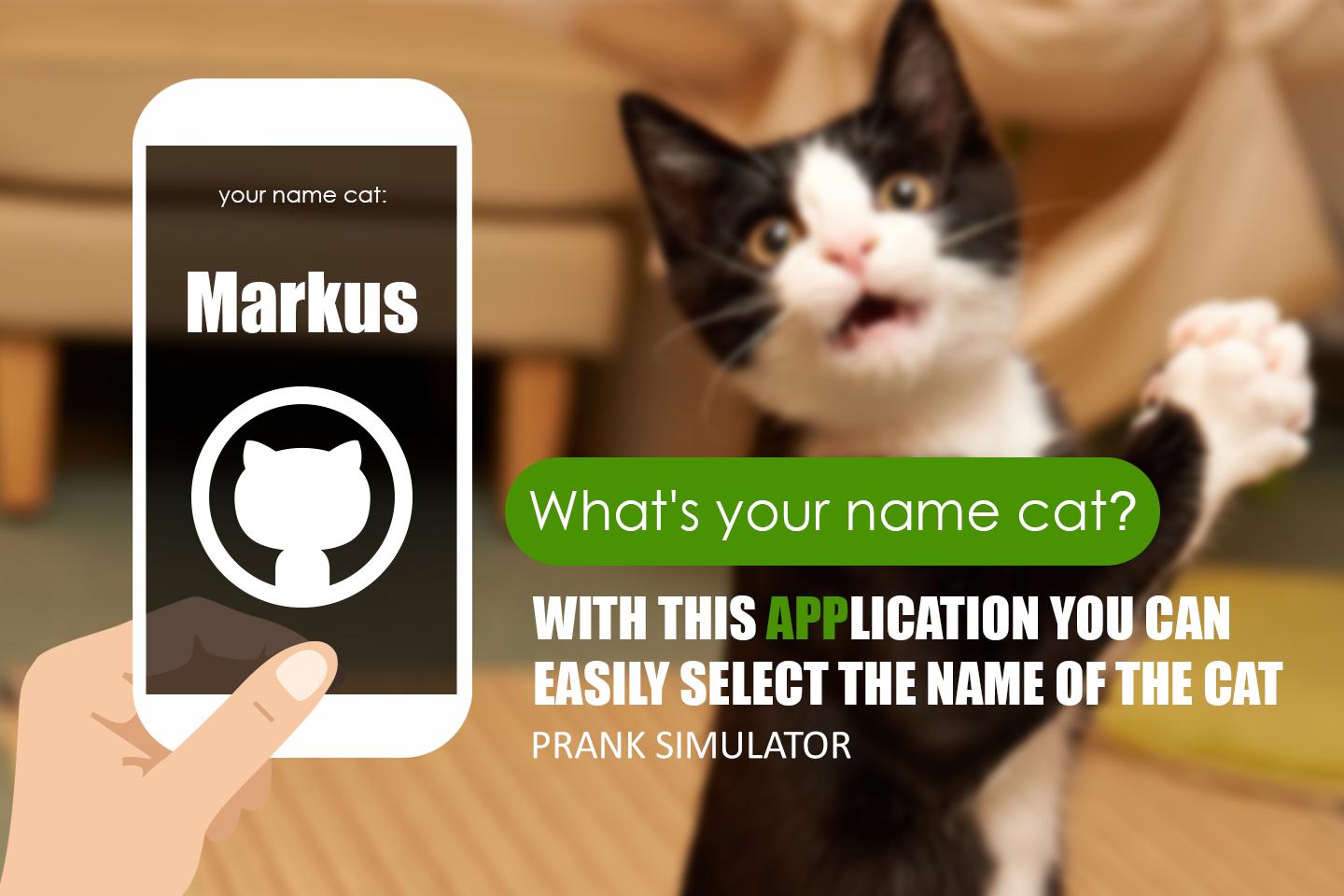 The real name cat scanner