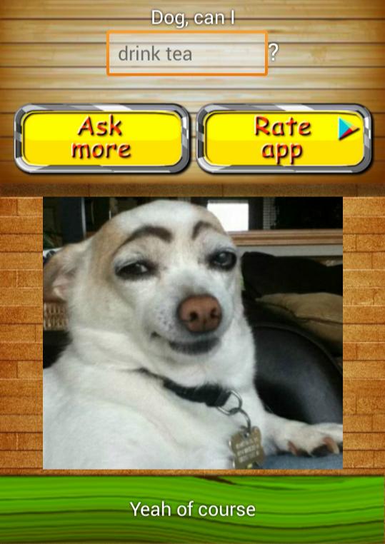 Talking with Dog Phrasebook