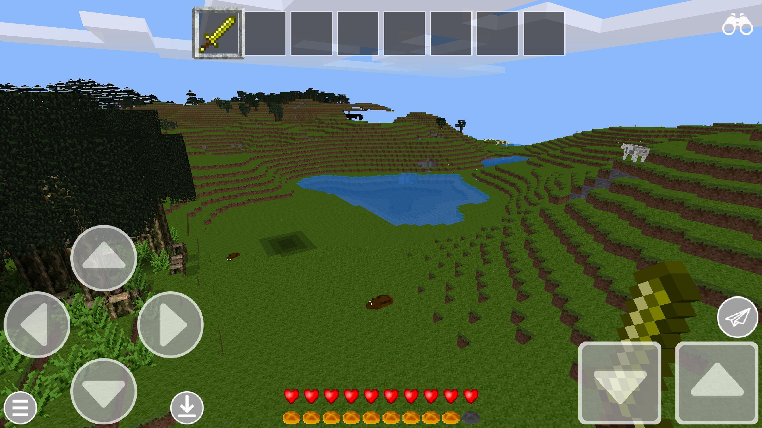 Crazy Craft : Survival Island