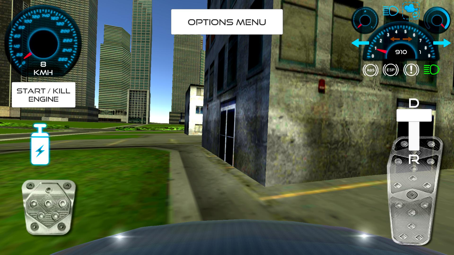 Racing Sport Car Driving