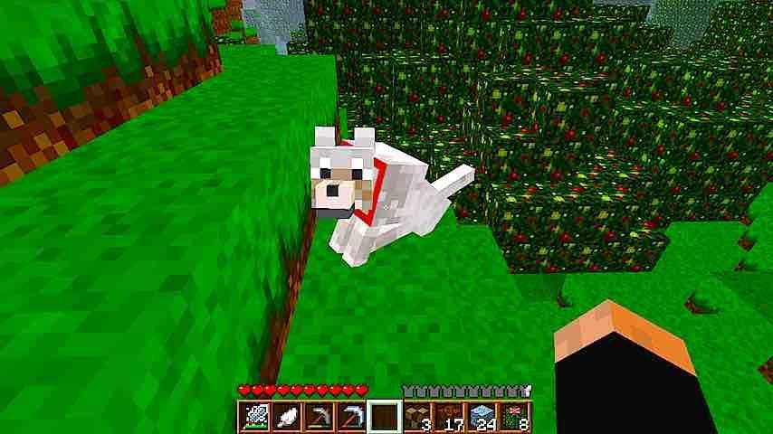 Pets Pretty Ideas - Minecraft