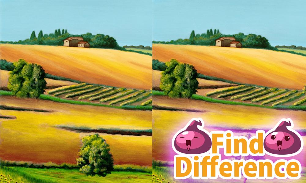 Find The Difference Free 3