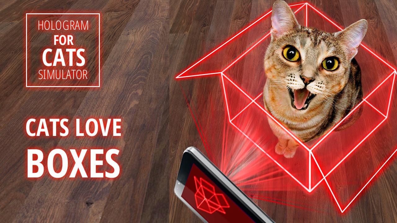 Hologram for cats. Simulator
