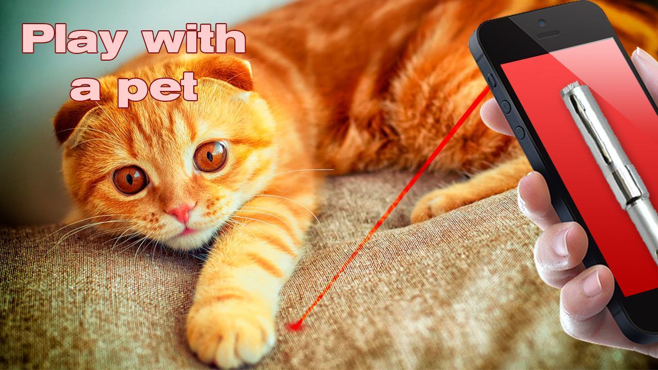 Laser Cat Simulator 2016