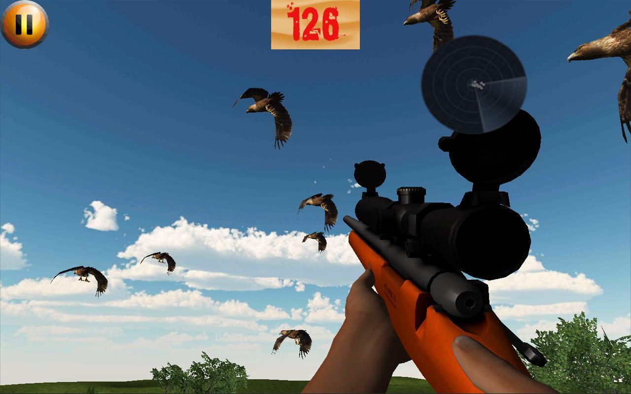 Hunting Birds In Desert