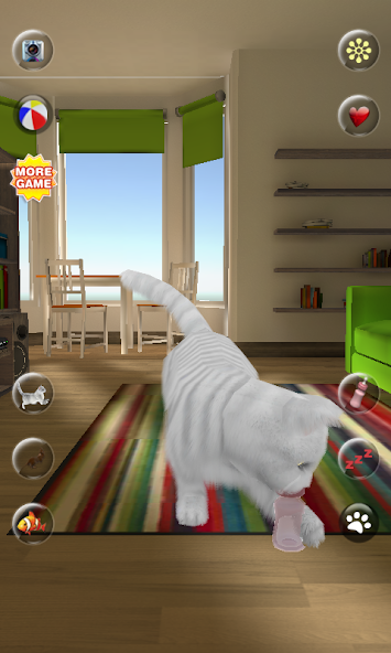Talking Cute Cat
