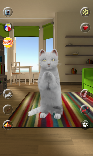 Talking Cute Cat
