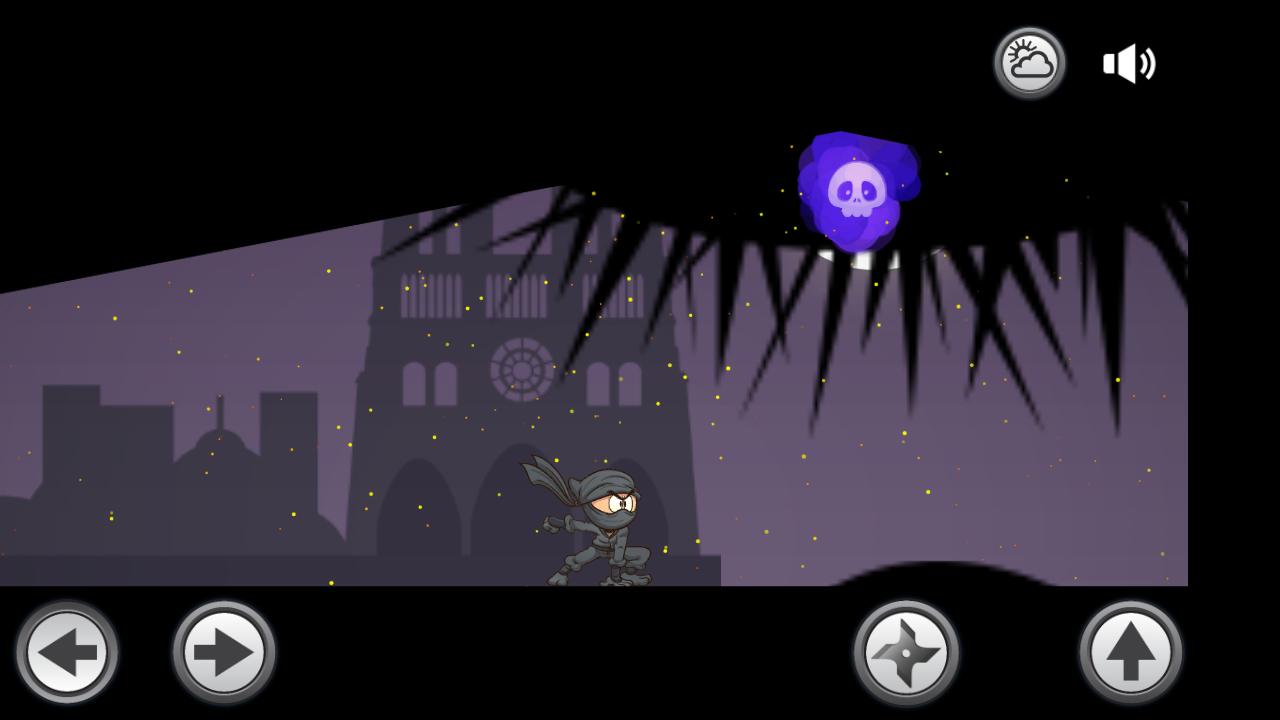 Shadow Ninja