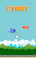 Don't Kill The Birdy