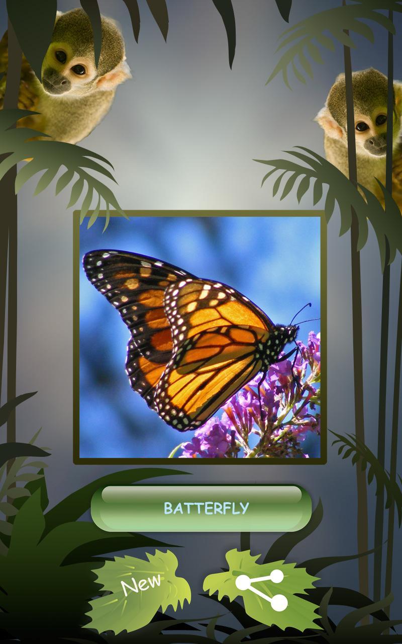 Your Animal Nature