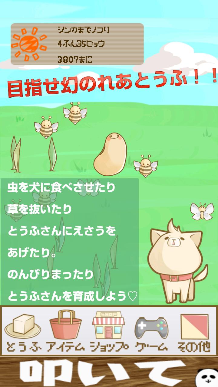 Mr. tofu