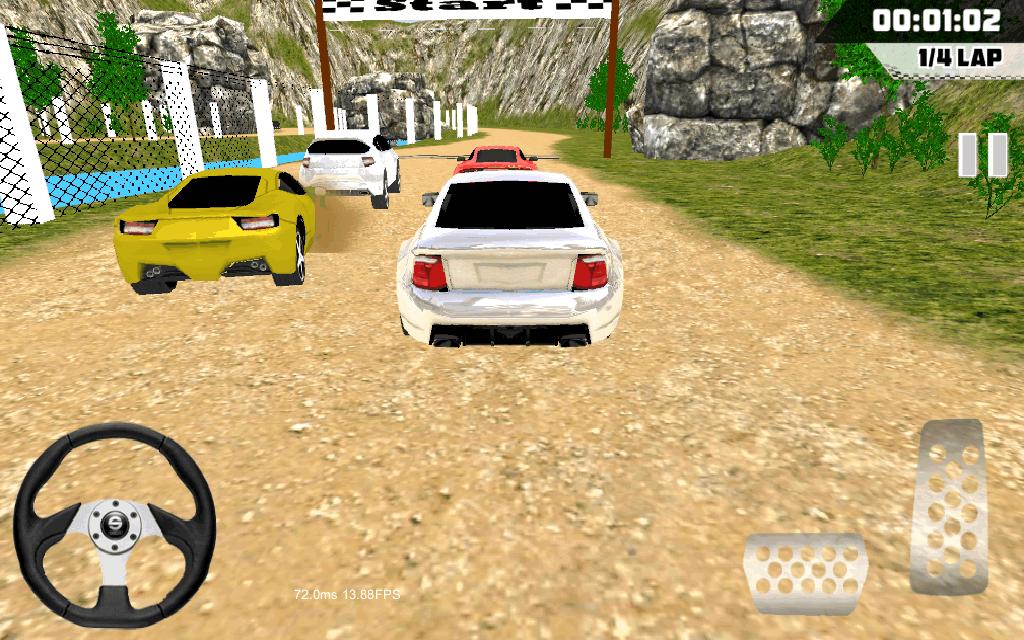 Dirt Race