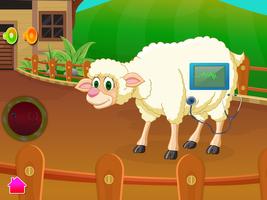 Sheep Baby Birth