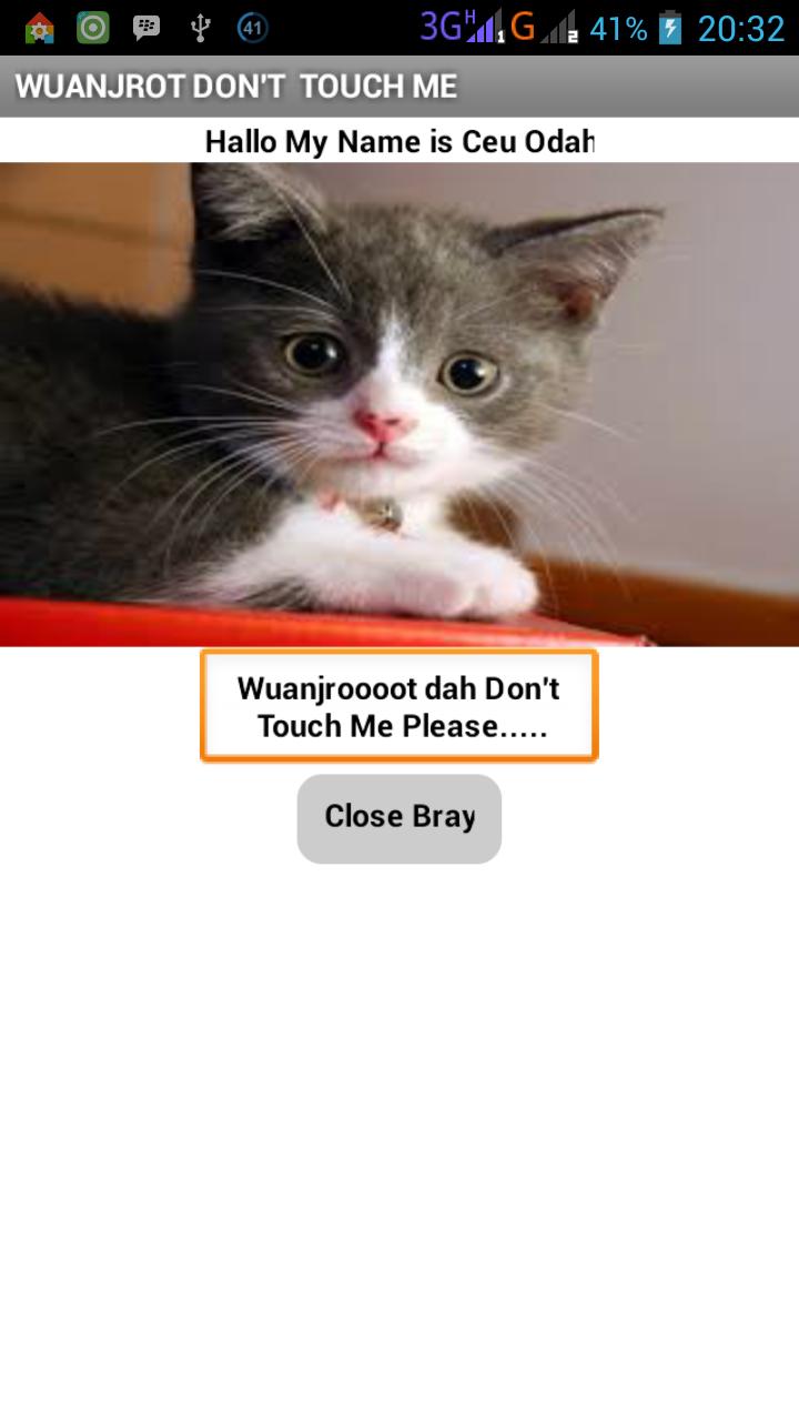 My Cat Bray