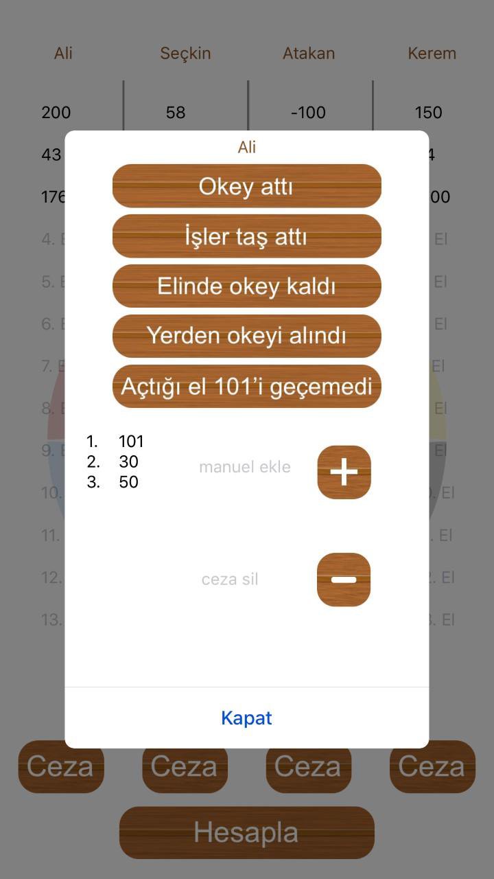 101 Puan Hesapla
