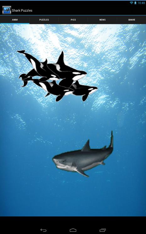 Shark Puzzles