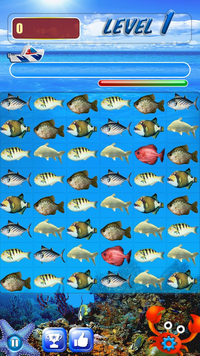 Fishing Match