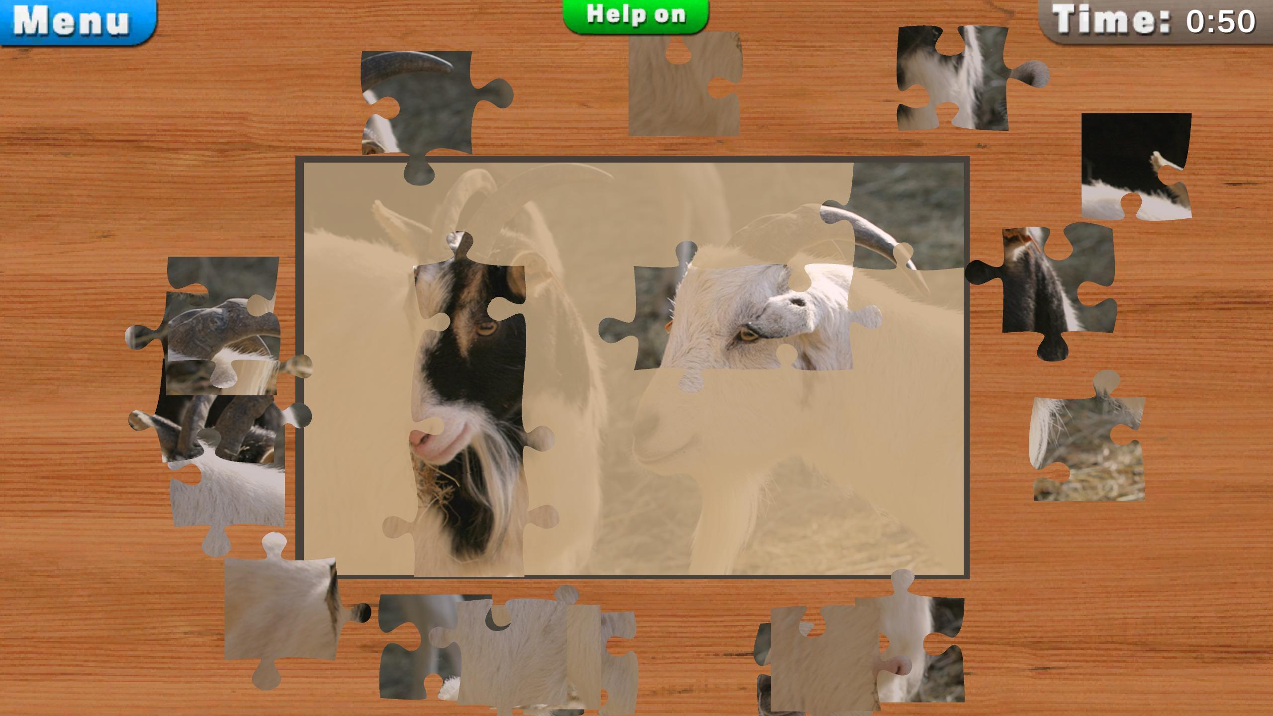 Jigsaw Puzzles!