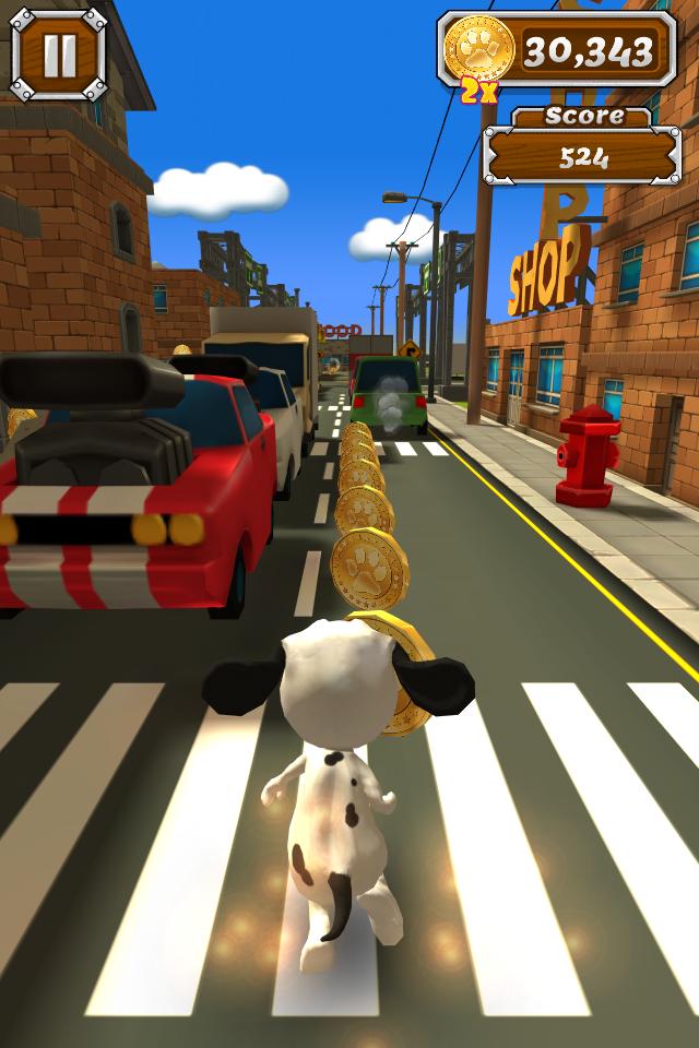 Animals Run