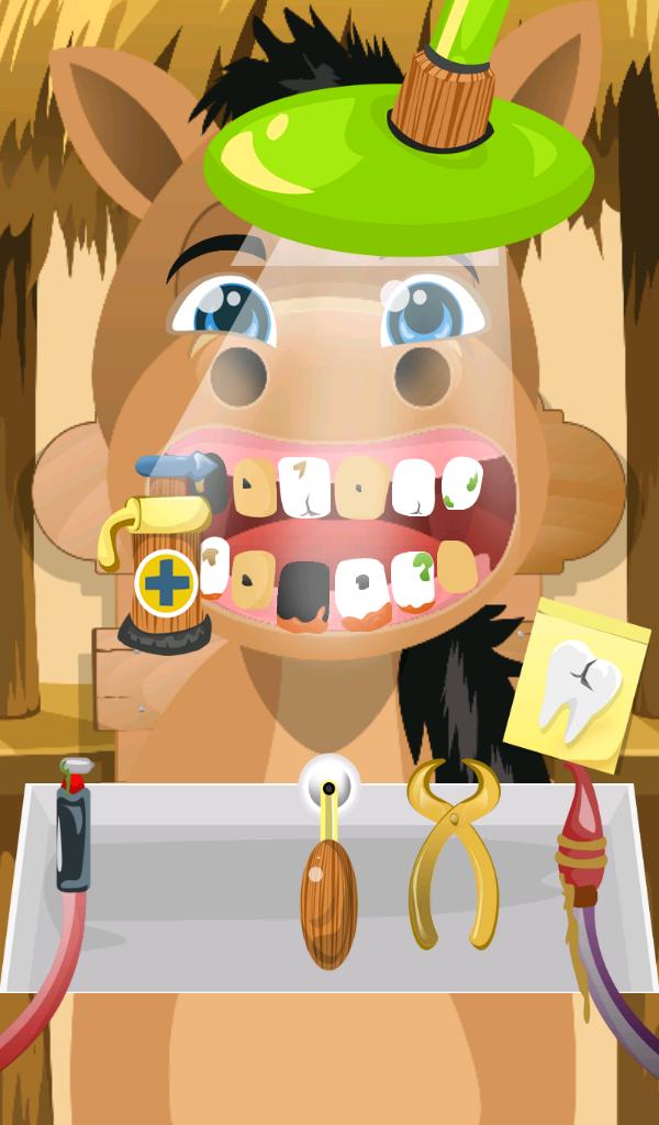 Horse Dentist