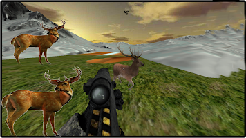 Deer Hunting :Sniper Game 2016