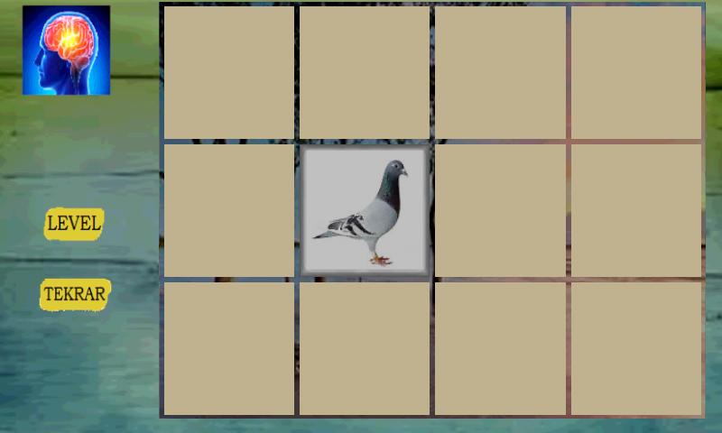 Kids Memory Game Birds