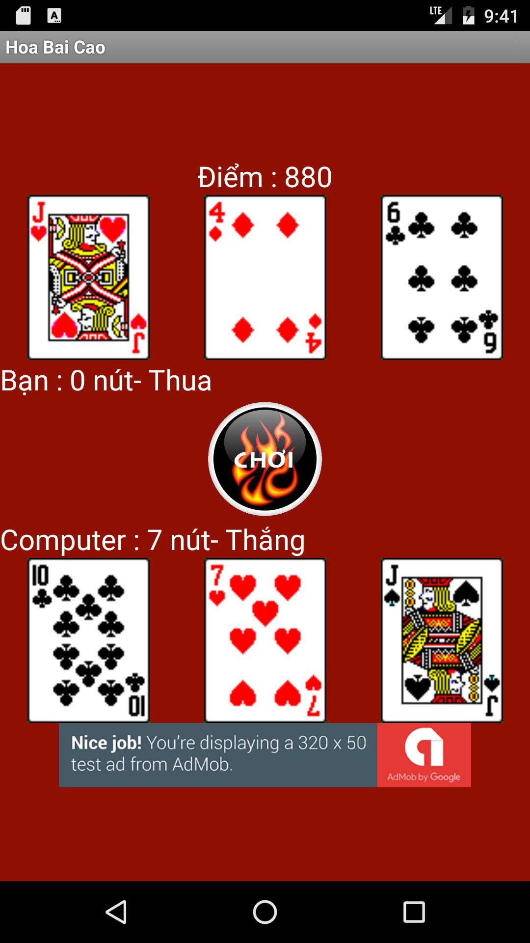 Hoa Bai Cao