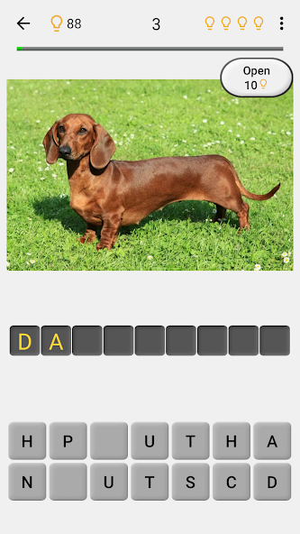 Dogs Quiz